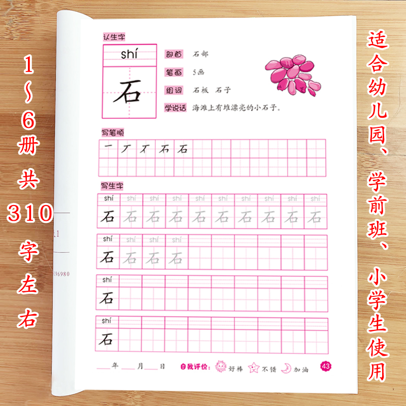 认字写字认读笔顺偏旁部首句子