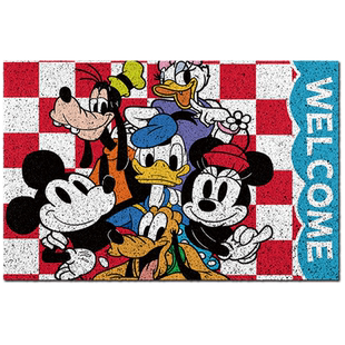 入门地垫高级感 米老鼠丝圈地垫 阳台地垫防水防晒 入户门内地垫