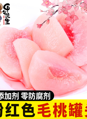 甲午先生 黑沟大毛桃罐头490g*6 送礼佳品水果罐头整箱礼盒装