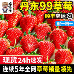 丹东99草莓东港大九九牛奶奶油正宗红颜草莓水果99当季礼盒新鲜