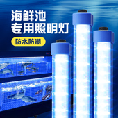 海鲜池灯管鱼缸专用LED防水220饭店鱼池蓝白光水产水族养鱼照明灯
