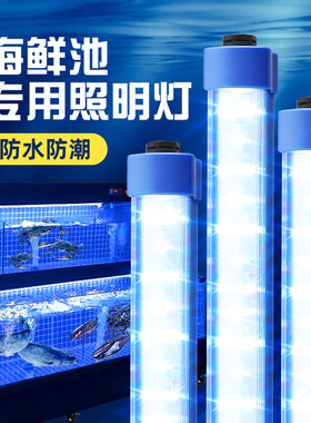 【海鲜池鱼缸专用】防水灯管