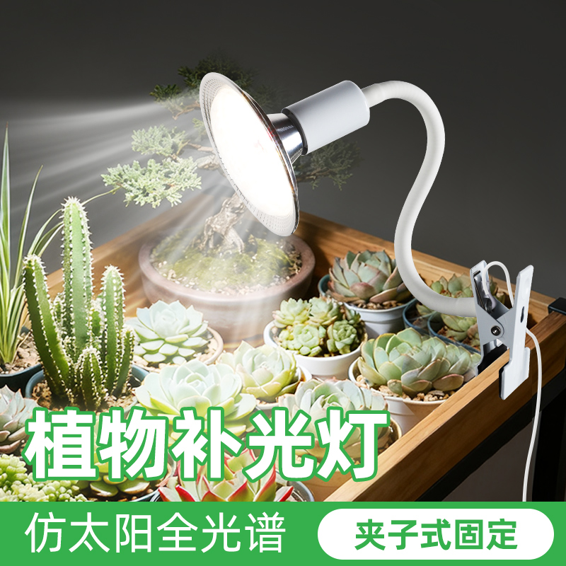 插电款植物灯，全光谱，可换灯泡