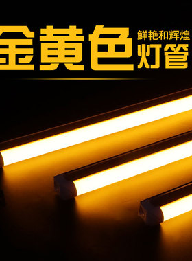 金黄色灯管LED灯餐厅饭店暖黄节日T5一体T8分体天花吊顶装饰灯条