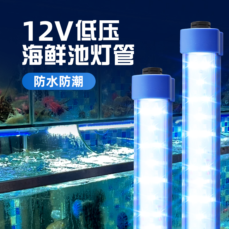 12v海鲜池专用灯-【蓝白光】