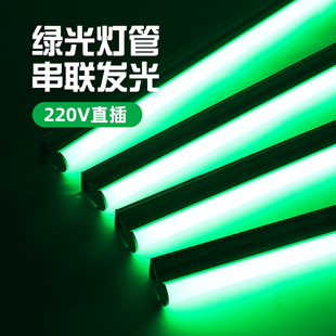绿光led显尘灯 荧光绿灯带氛围灯条日光霓虹灯棒补光日光显尘植物