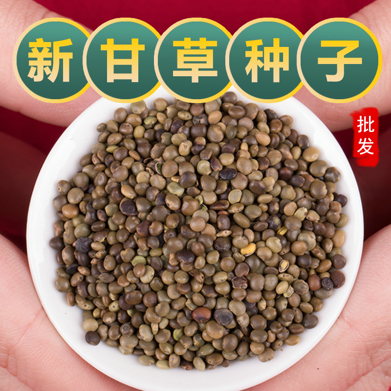 红皮甘草种子中药材甘草种籽春产地新疆内蒙四季种植苗孑