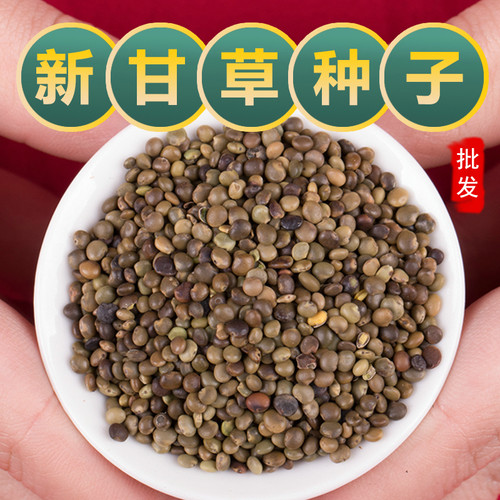 红皮甘草种子中药材甘草种籽春产地新疆内蒙四季种植苗孑