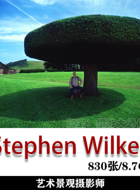 索尼世界摄影奖获奖摄影师 Stephen Wilkes 摄影作品素材
