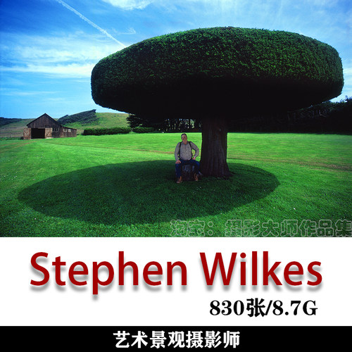索尼世界摄影奖获奖摄影师 Stephen Wilkes 摄影作品素材