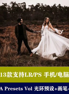 lr预设ps预设AURA Presets 光环预设 调色预色手机滤镜后期预设