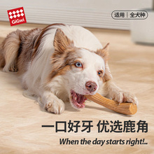 GiGwi贵为狗狗玩具磨牙棒鹿角幼犬耐咬宠物独处自嗨啃咬解闷神器