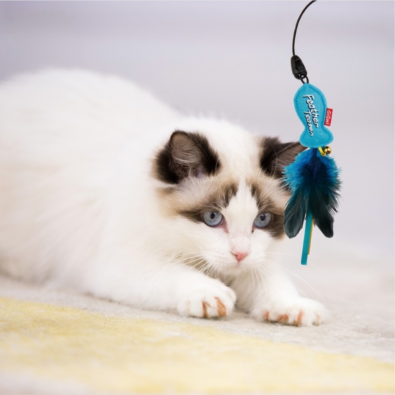GiGwi贵为猫玩具逗猫棒羽毛耐咬高弹力伸缩逗猫棒宠物玩具用品,宠物/宠物食品及用品,逗猫棒,淘宝优惠券,粉丝福利购,淘宝优惠卷
