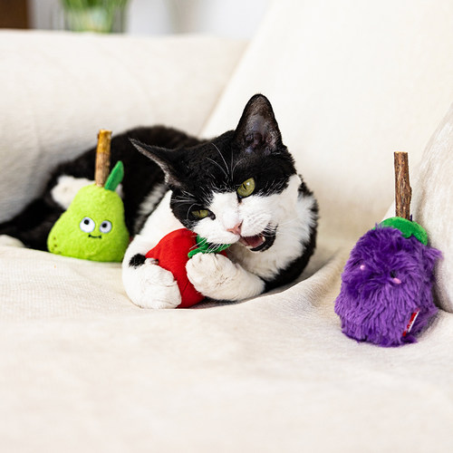 贵为毛绒自嗨磨牙逗猫棒