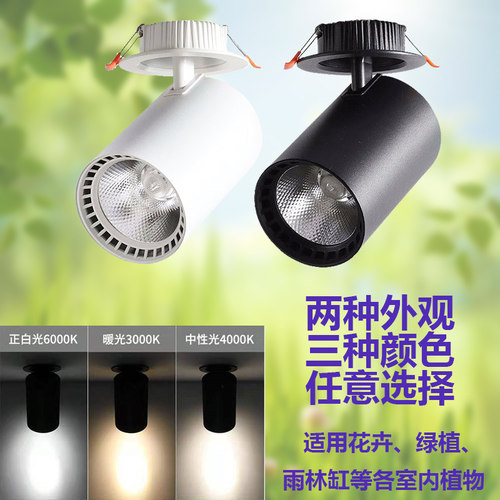 全光谱植物补光灯室内绿植补光