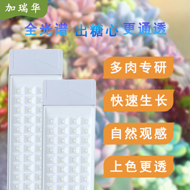 植物生长灯补光灯上色自然全光谱仿太阳照光培育苗灯多肉专用灯