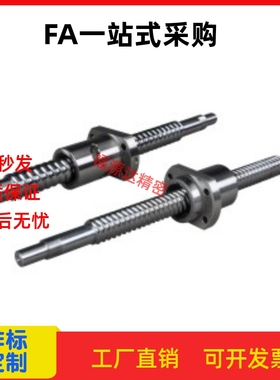 普通级滚珠丝杆BSWE0802  BSWE1002  BTWE1024  BTWE1210