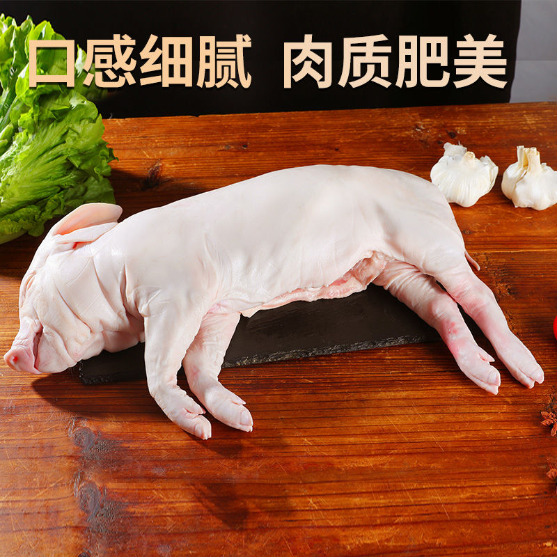 现杀小乳猪新鲜脆皮冷冻4~20斤