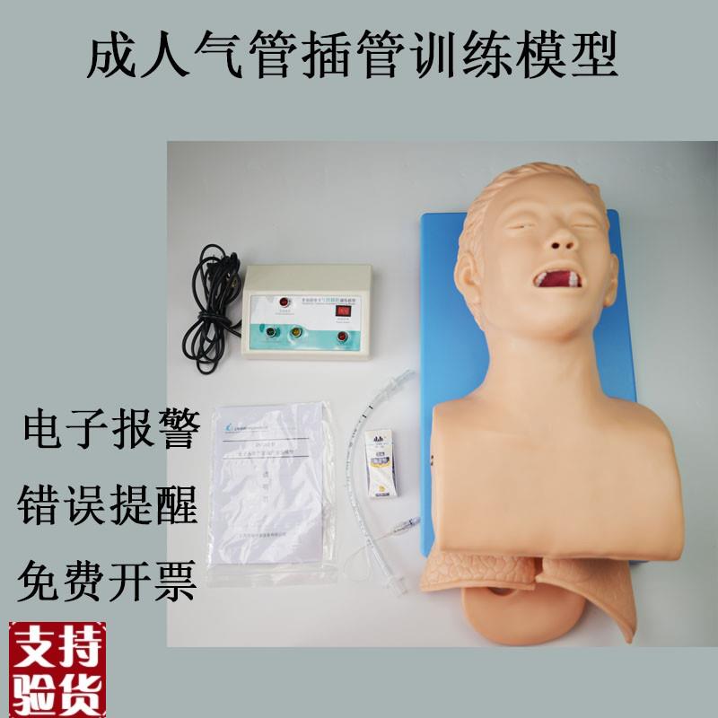 实训人体气管插管训练模型带电子牙齿报警N成人急救训练教学模具