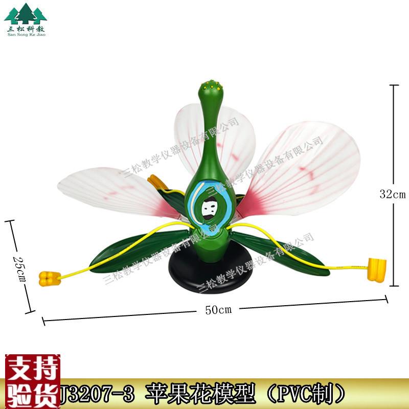 桃花典型c双子叶花构造绿色植物花蕊生物展示医学教学苹果花模型