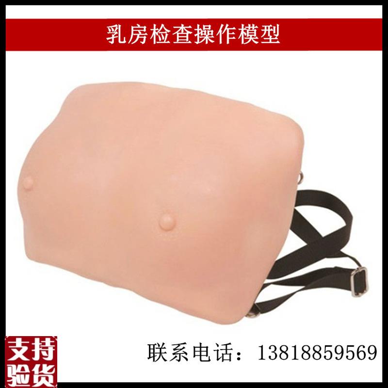 穿戴式乳房训练检查模型乳房病理示教K教具医用人体结构橡皮人