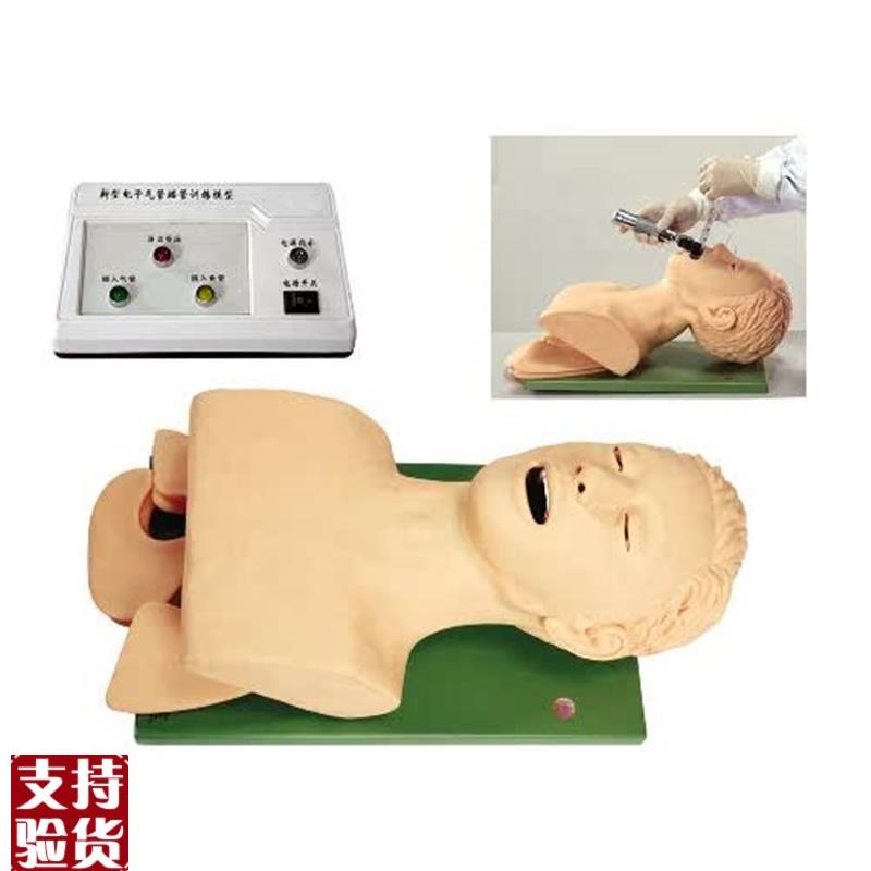 电子人体气管插管训练模型(带牙齿Y受压报警)