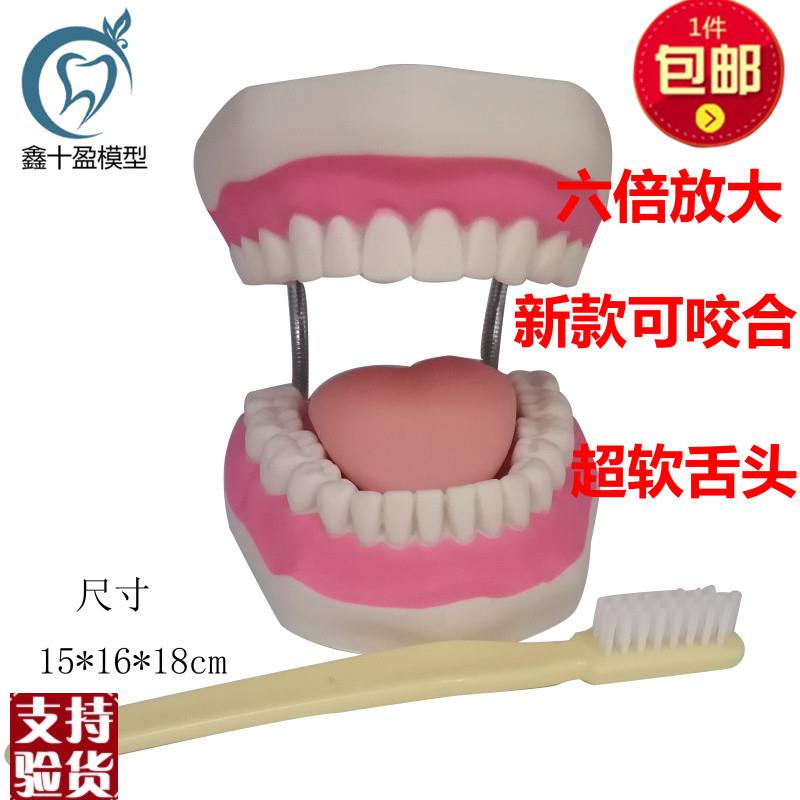 牙科口腔诊所h幼儿园教刷牙模型教具带舌头6倍刷牙模型送牙刷