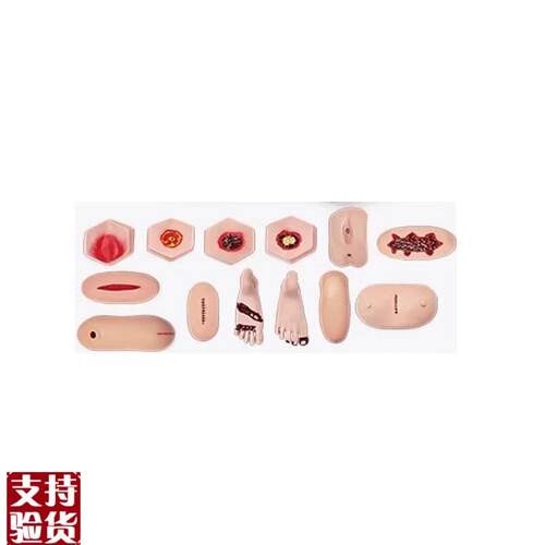 护理人模块
