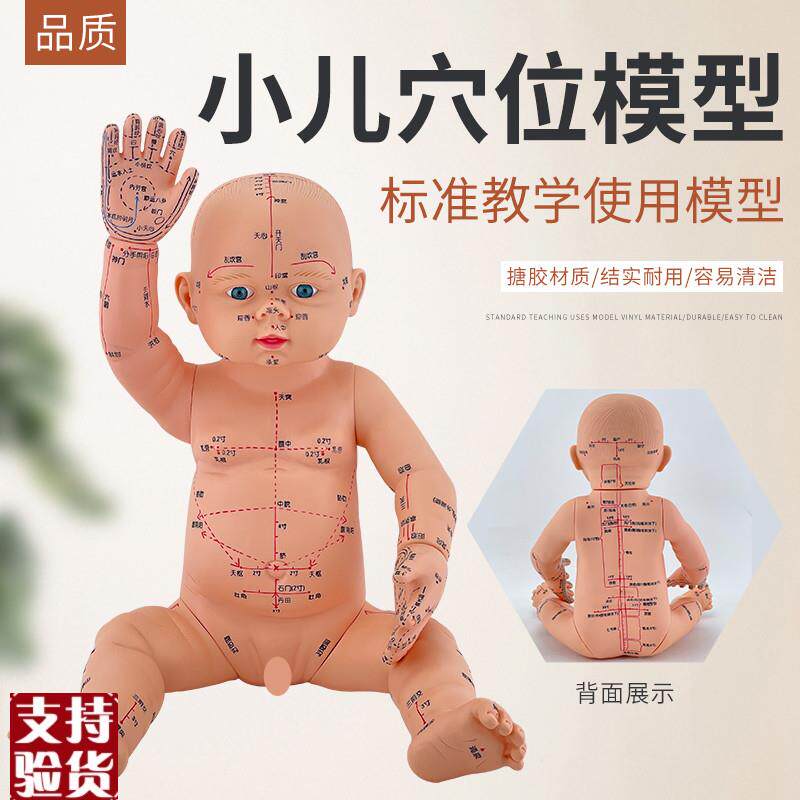 婴儿穴位娃娃推拿按摩婴儿中医通用小儿针灸穴位W宝宝仿真模型