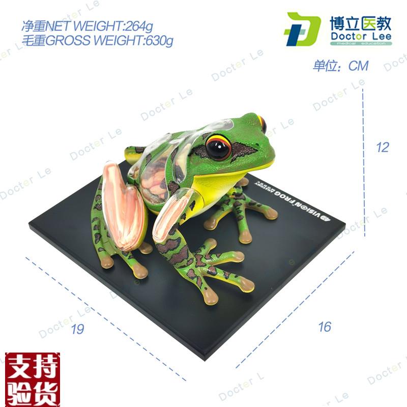 4DMastger青蛙标本解剖模型内脏骨骼拼装学生科普实验器材教具