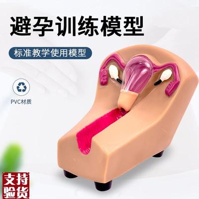 女性宫内避孕及训练模型F5N女性上环训练模P型女性节育计生模型