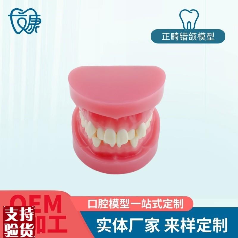 牙科牙齿材料模型牙模口腔正畸训练模型牙模型标U准练习正畸模型