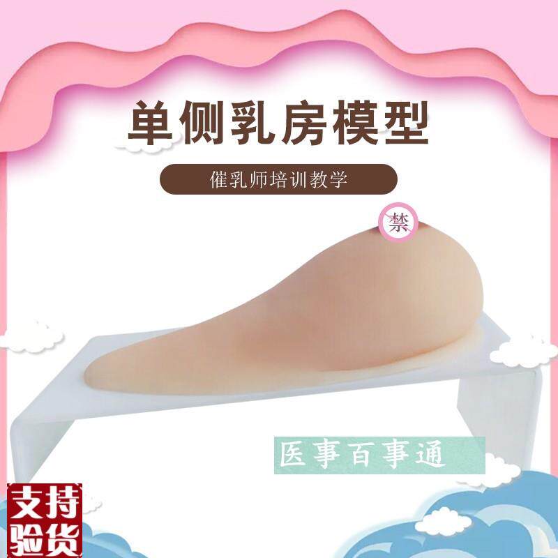 乳房女性乳房枪模义乳假乳t催乳师培训玩具枪哺乳教学模型(纯硅胶