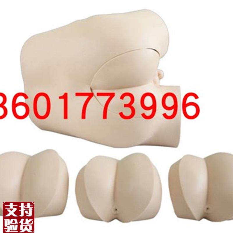 高级直肠指诊W检查示教模型直肠检查模型前列腺触诊模型
