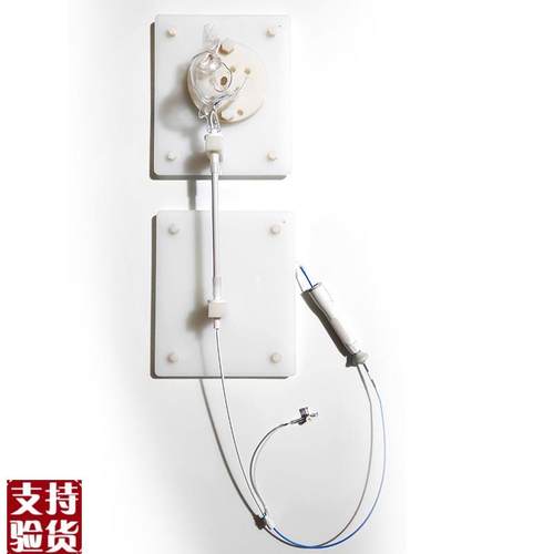 ENOVO颐诺人体右心房介入训练台心血管微创介Q入训练模型内窥镜介