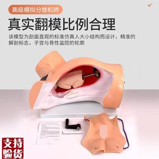 仿真教学分娩演示模型接生模型分娩J机转示教模型妇产科教具