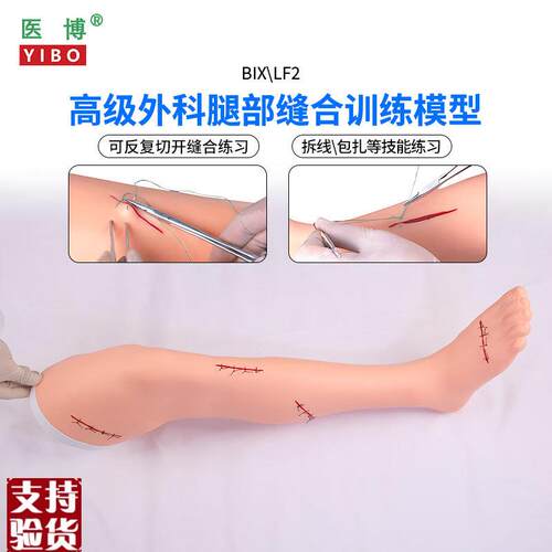 医博BIX-LF2高级外科手臂腿部缝合训练I模型切开缝合包扎止血训练