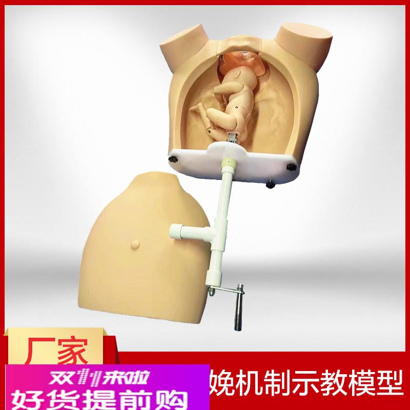 高级手摇分娩机制示教模型 医学用练习模具 助产训练模型分娩教学