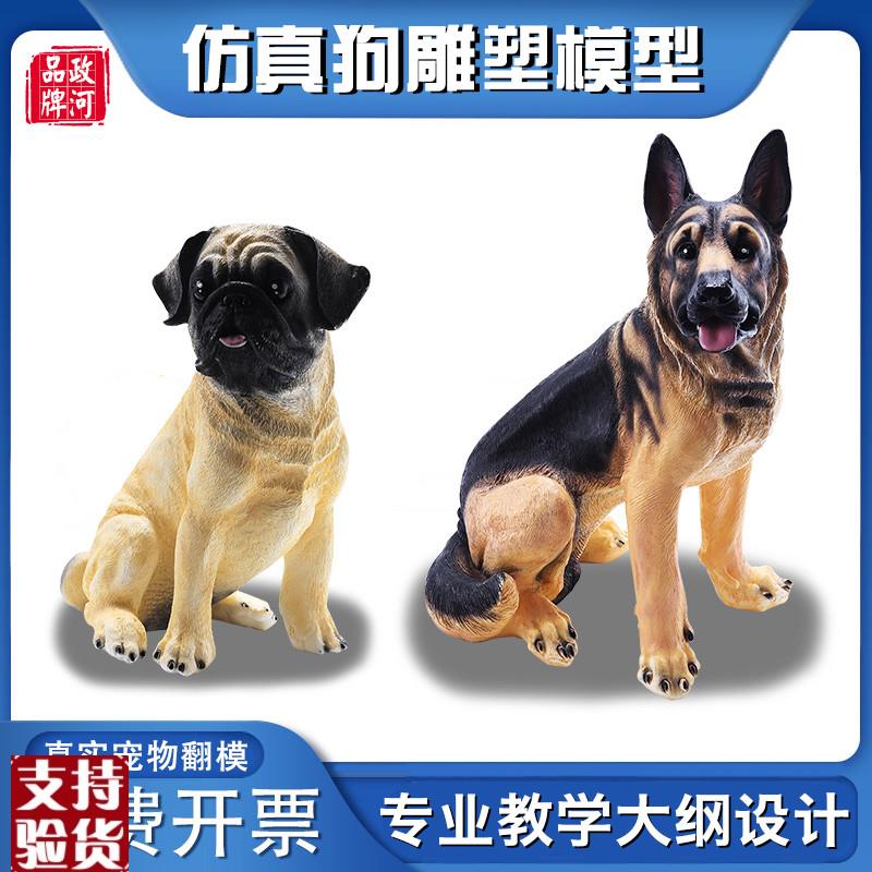 政河狗狗模型宠物店摆件医院教学用儿童早教玩具仿真X雕塑艺术绘