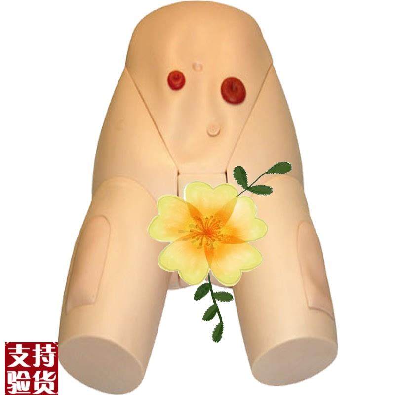 高级女性导尿模型JY/GH17F佳悦科教通,文具电教/文化用品/商务用品,模拟人,淘宝优惠券,粉丝福利购,淘宝优惠卷