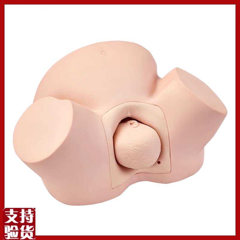 高级助产训练模型m分娩示教模型妇产科难产助产分娩教学模具