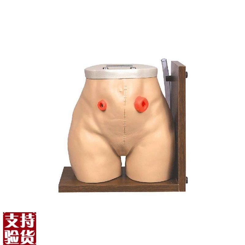 瘘管造口术护理模型结肠回肠造瘘口冲洗教学家政培训W训练假人模