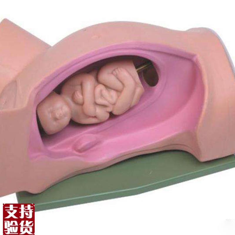 孕妇分娩机转示教教学训练模型妇产.科练习模具