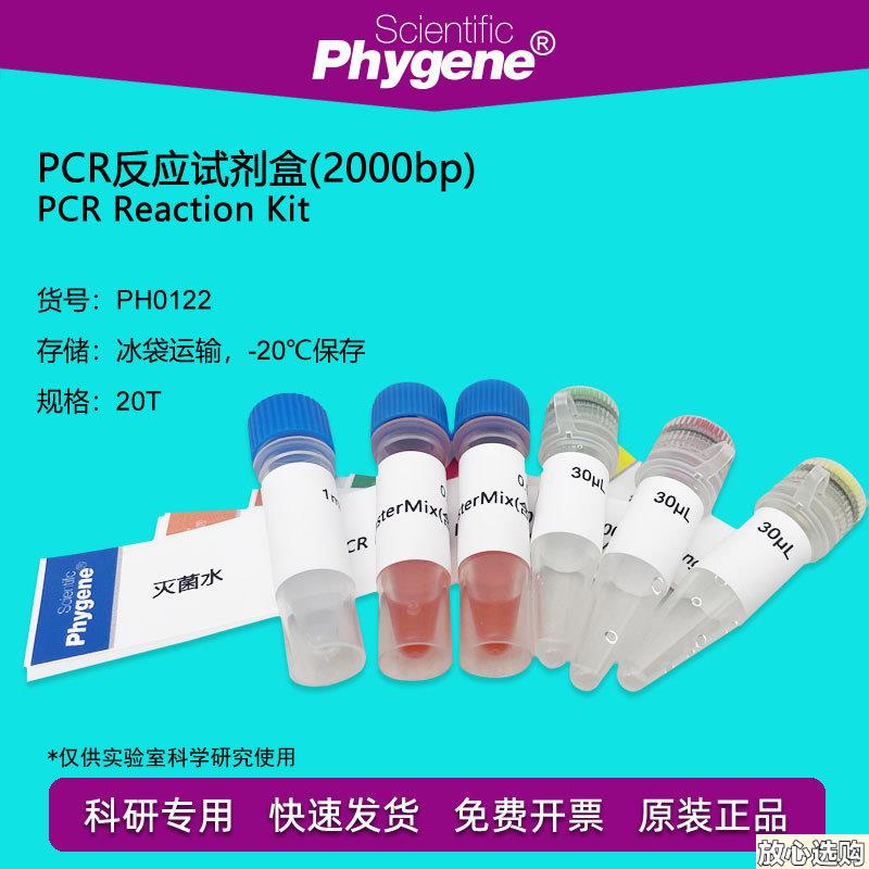 PCR反应试剂盒(2000bp)PGCR试剂盒20TPH0122PHYGENE