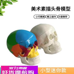 人体头骨模型头颅骨骼迷你头骨可拆卸美术素描道具医学生教学模具