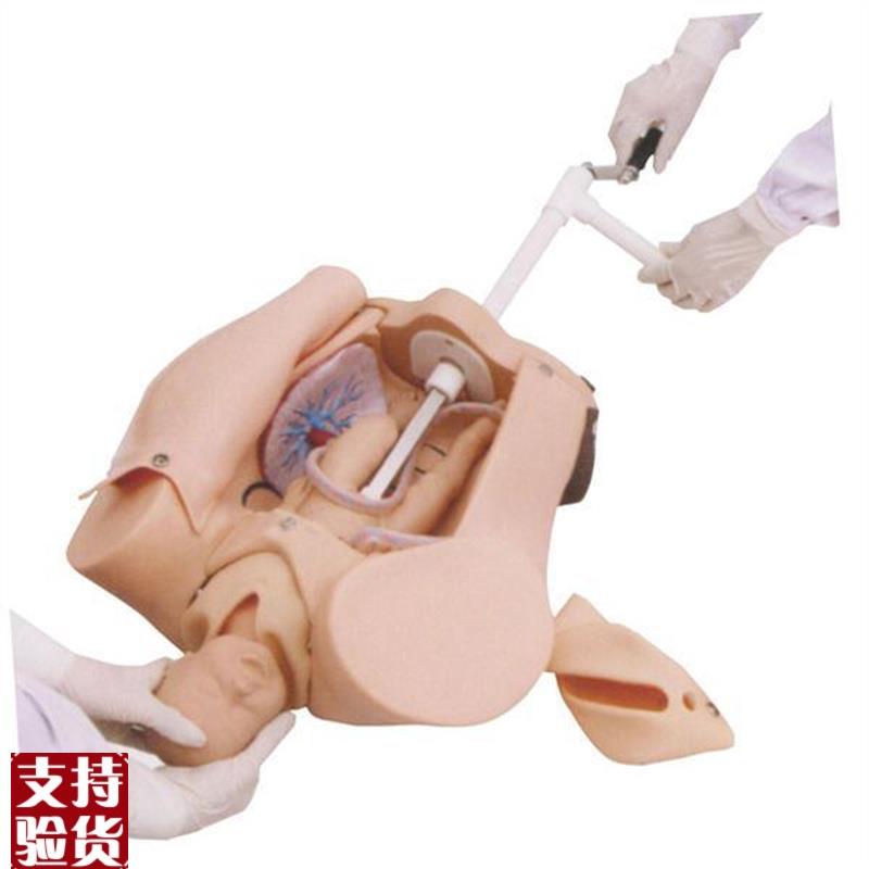 高级手摇a分娩机制示教模型肩难产助产训练模型妇幼保健模具