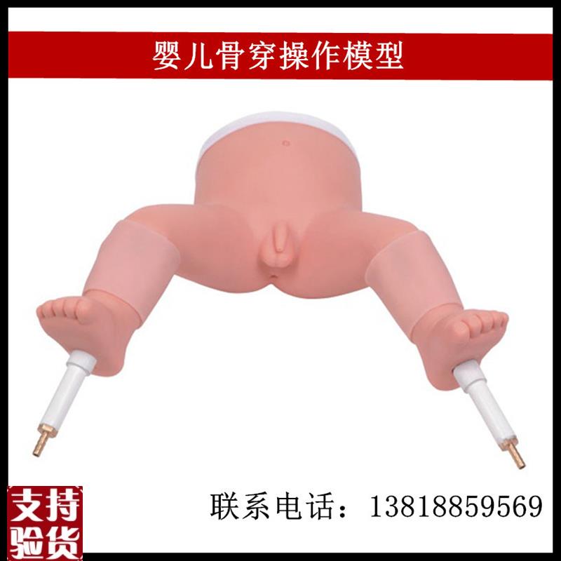 婴儿骨穿操作模型