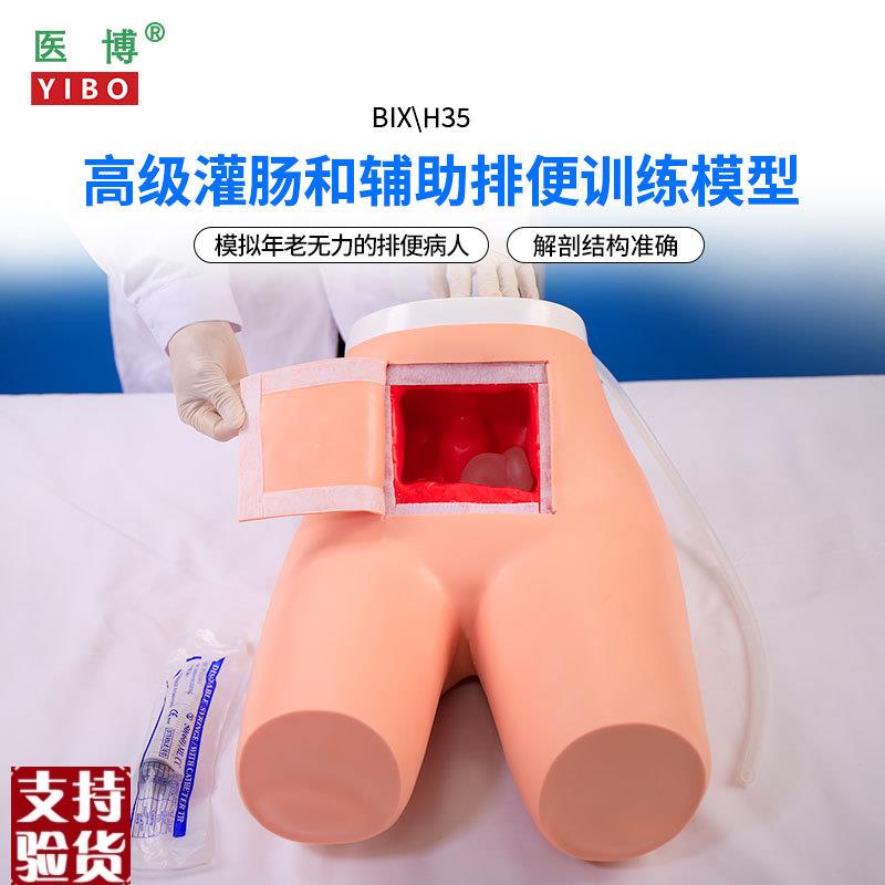 医博BIX-H35高级灌肠模s型辅助排便和及灌肠训练习模型医学用灌肠