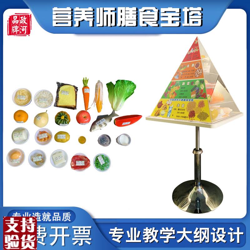 政河中国居民平衡膳食宝塔模型健康食物营养师Q金字塔仿真食品模