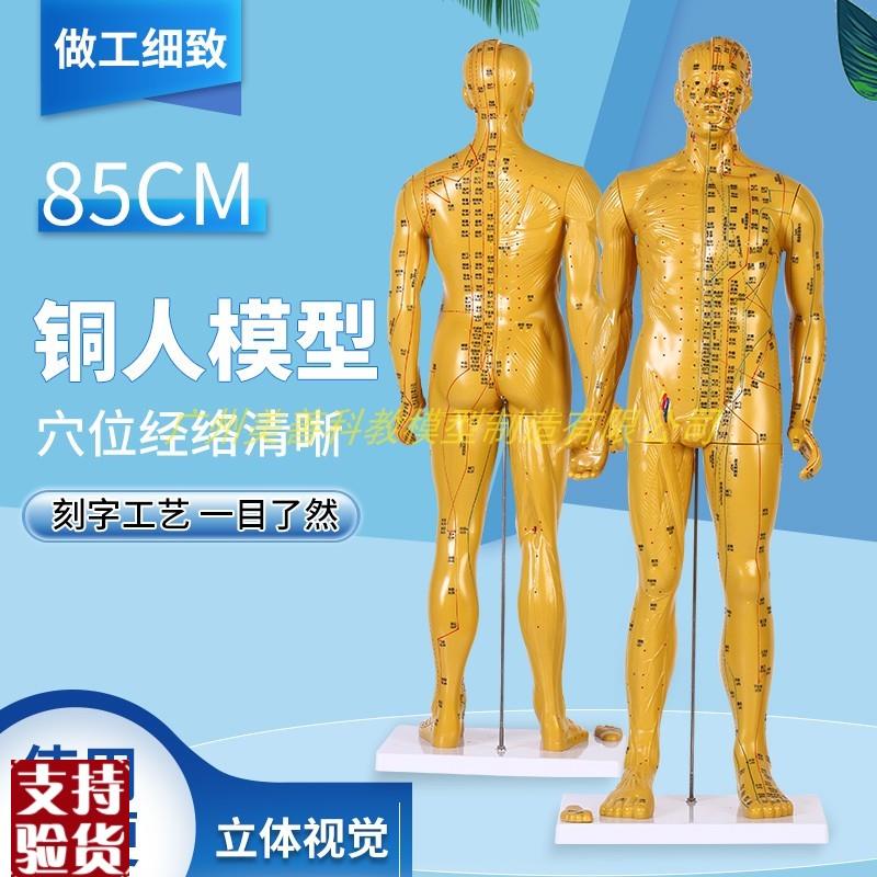 85cm超清晰经络通针灸铜人体穴位模型中医针N灸人体模型十二经络